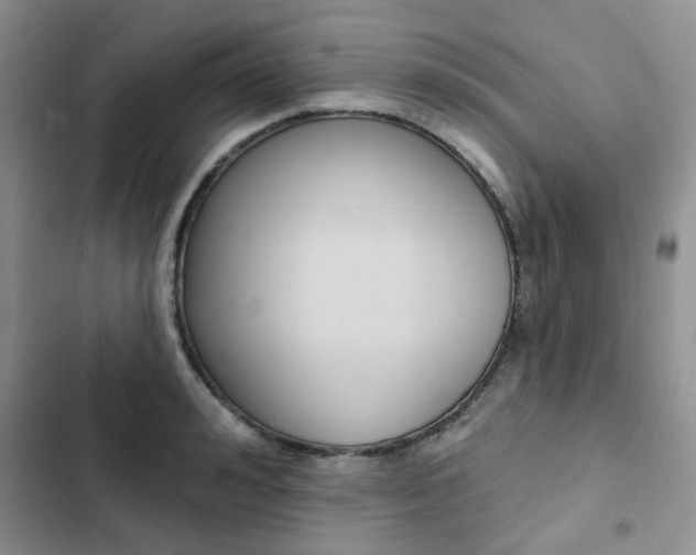 X0000102830992200808181045