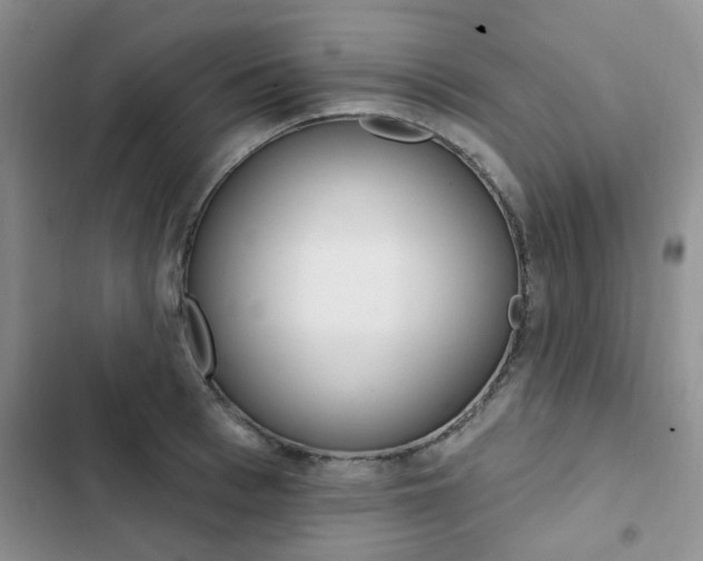 X0000102830993200808181045