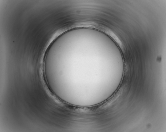 X0000102830994200808181045