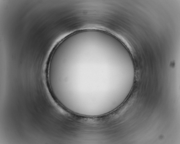 X0000102830995200808181045