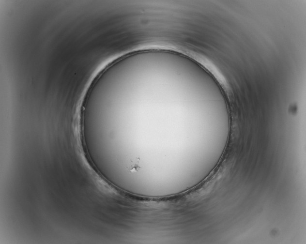 X0000102830996200808181045