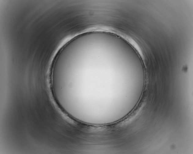 X0000102830997200808181045