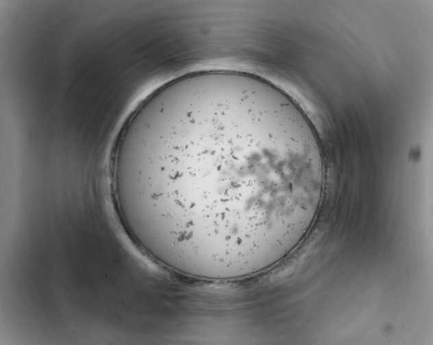 X0000102830998200808181045
