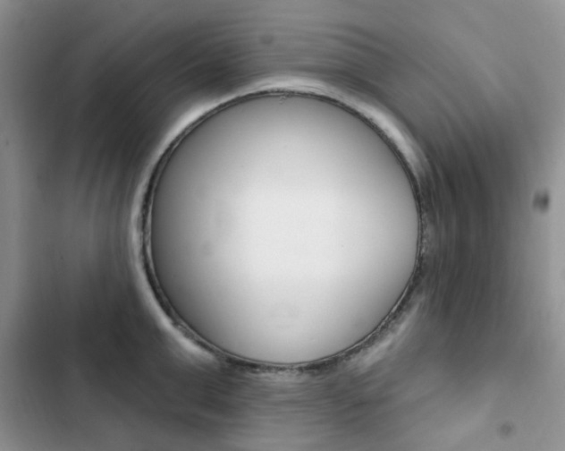 X0000102830999200808181045