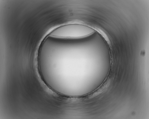 X0000102831000200808181045