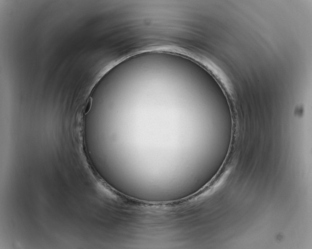 X0000102831001200808181045