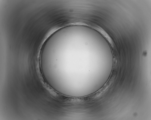 X0000102831002200808181045