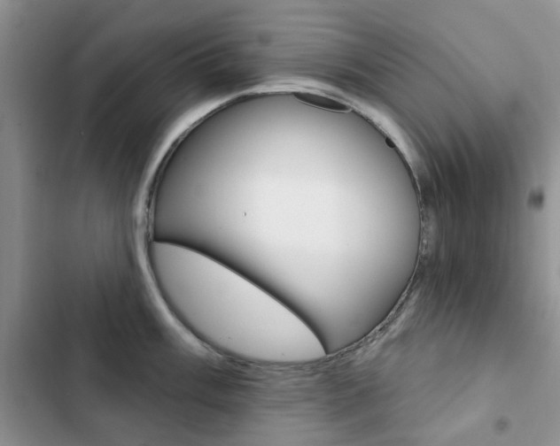 X0000102831003200808181045