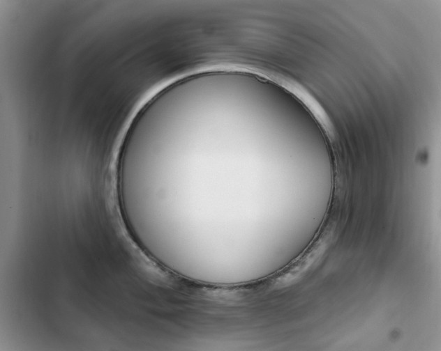 X0000102831004200808181045