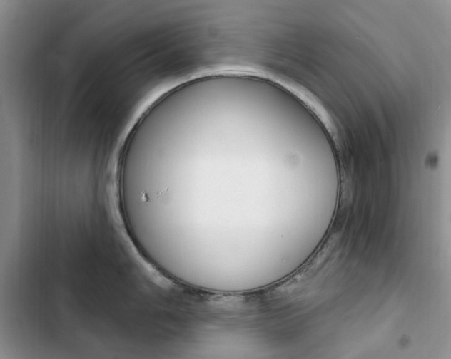 X0000102831006200808181044