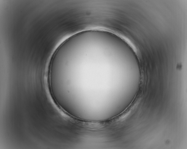 X0000102831007200808181044