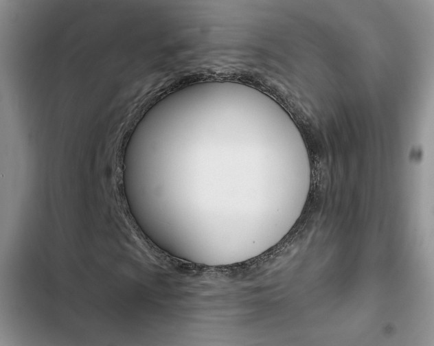 X0000102831009200808181044