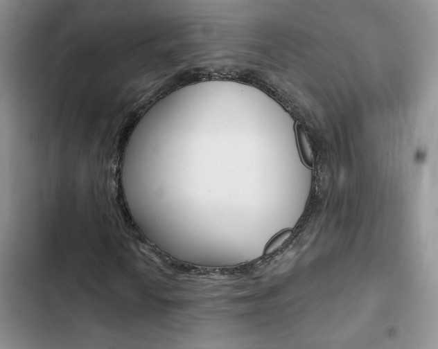 X0000102831010200808181044