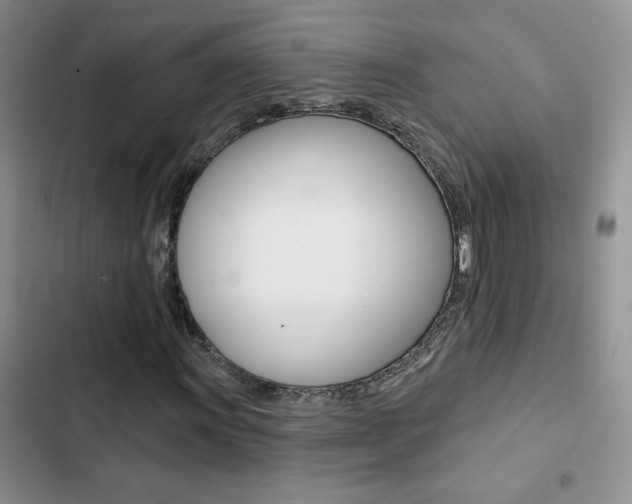 X0000102831011200808181044
