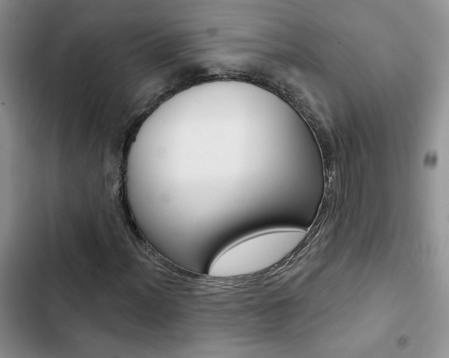 X0000102831012200808181044