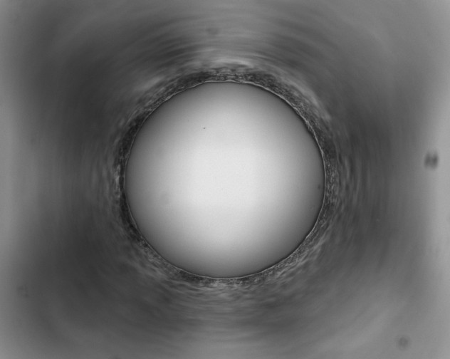 X0000102831013200808181044