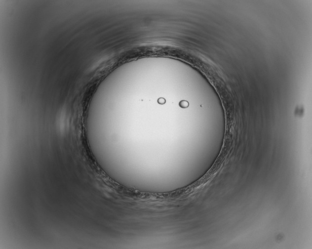X0000102831014200808181044