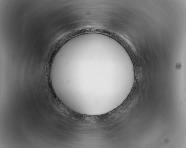 X0000102831015200808181044
