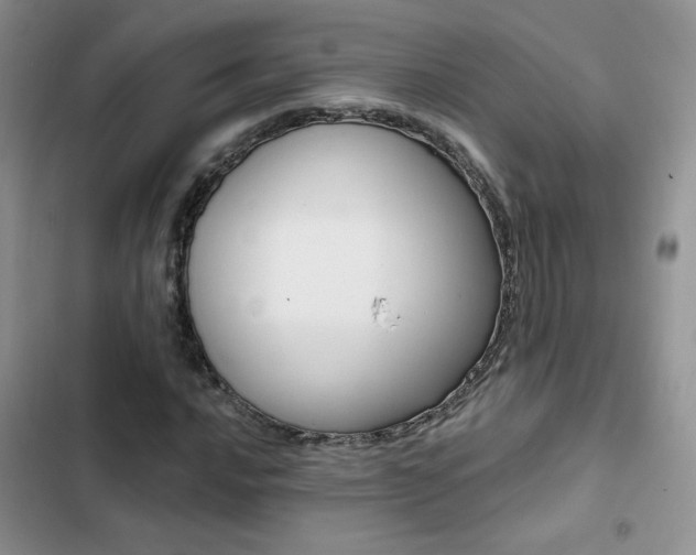 X0000102831016200808181044