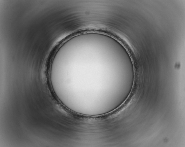 X0000102831018200808181044