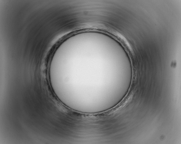 X0000102831019200808181044