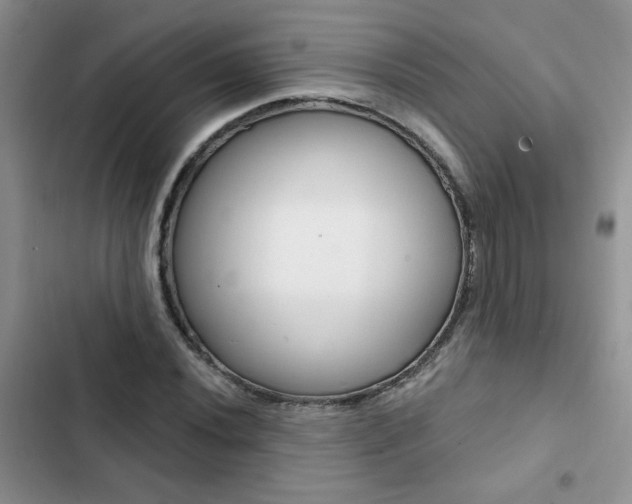 X0000102831020200808181044