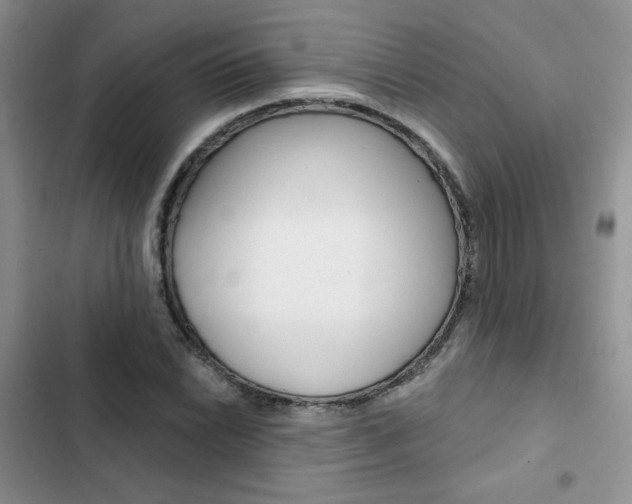X0000102831022200808181044