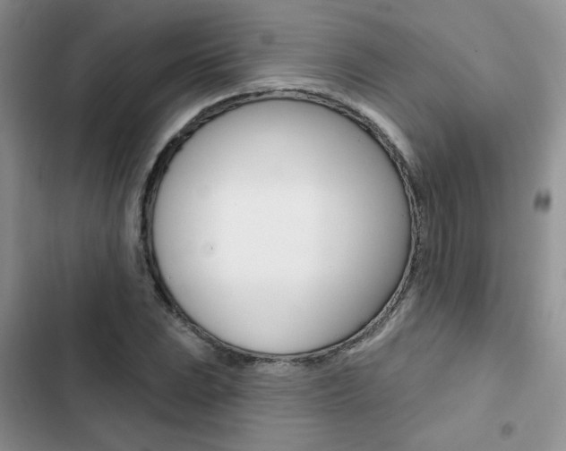 X0000102831023200808181044