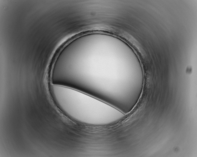 X0000102831024200808181044