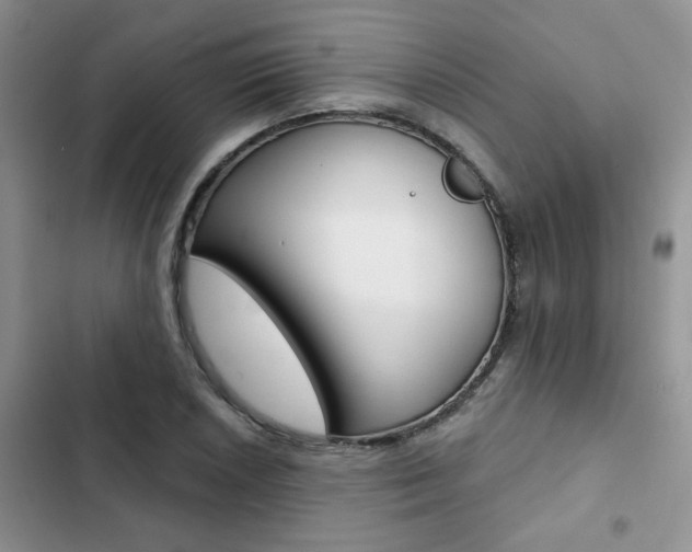 X0000102831026200808181044