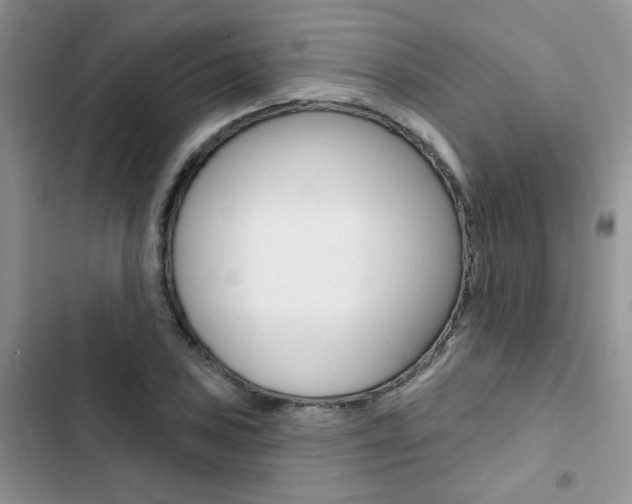 X0000102831027200808181044