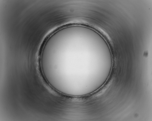X0000102831029200808181044