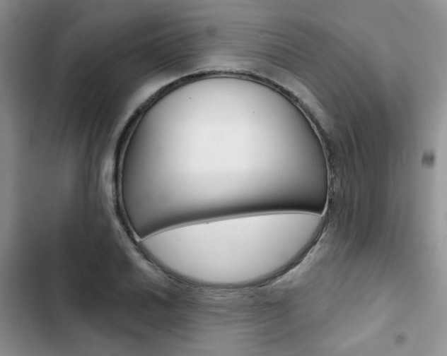 X0000102831030200808181044
