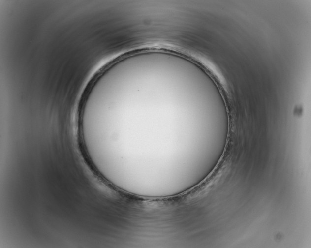 X0000102831032200808181044