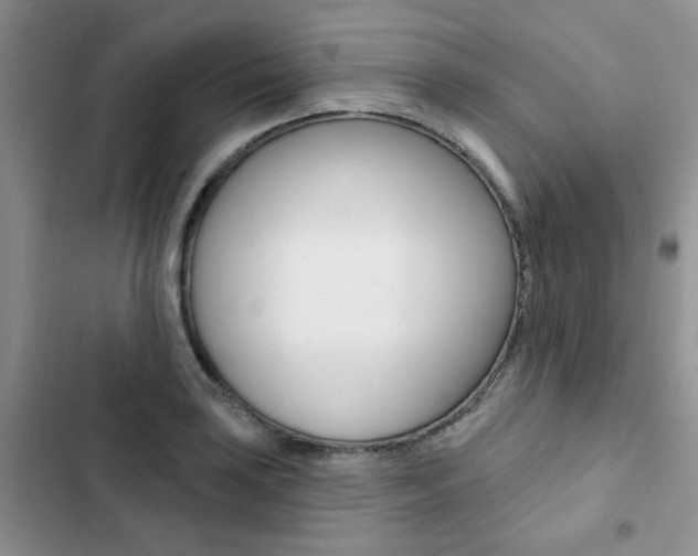 X0000102831035200808181044
