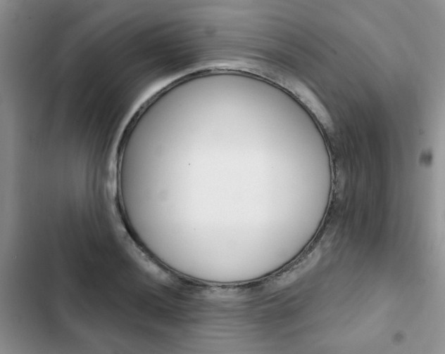 X0000102831036200808181044