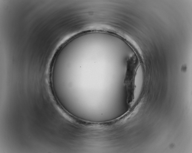 X0000102831037200808181044