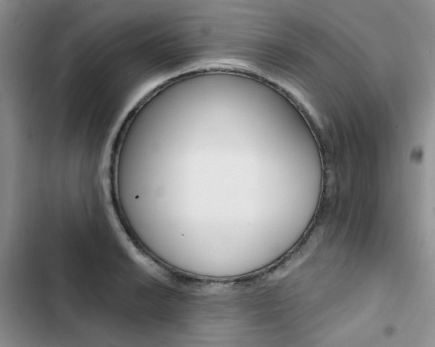 X0000102831038200808181044