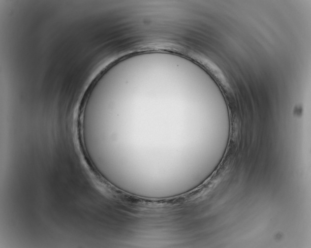 X0000102831039200808181044