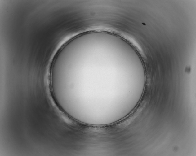 X0000102831040200808181044