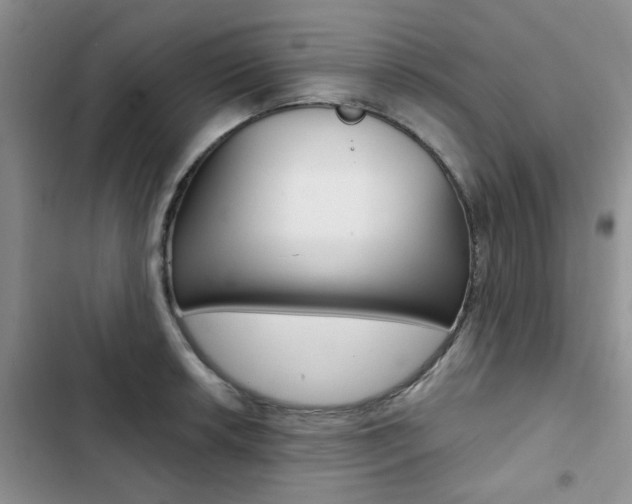 X0000102831042200808181044
