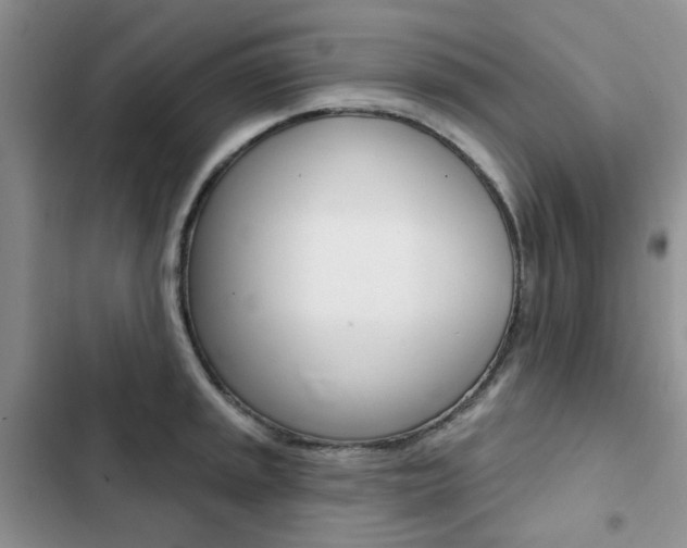 X0000102831045200808181044
