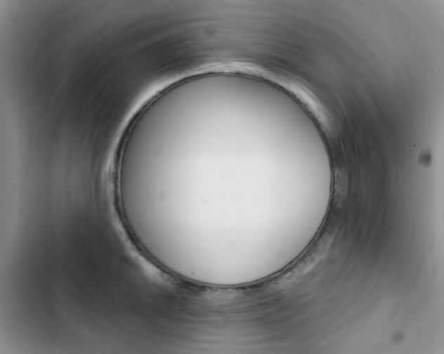 X0000102831046200808181044