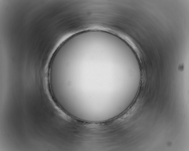 X0000102831048200808181044