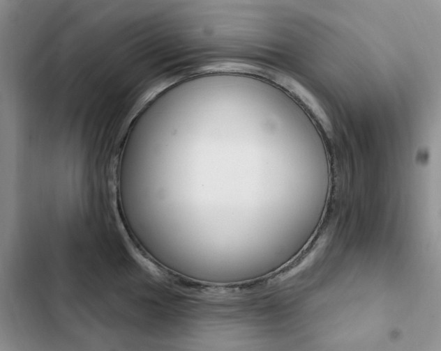 X0000102831049200808181044
