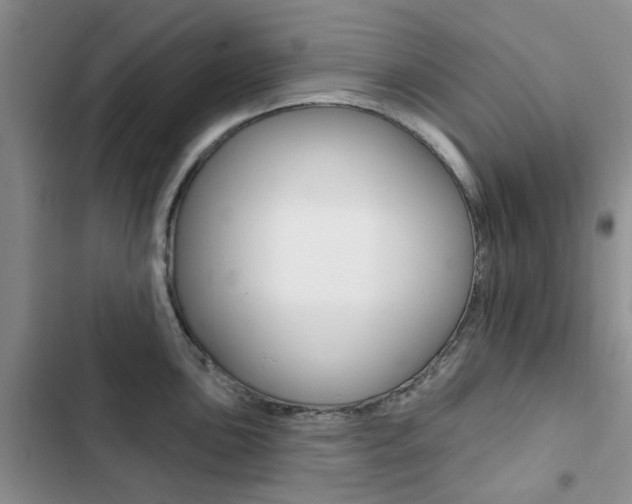 X0000102831051200808181044