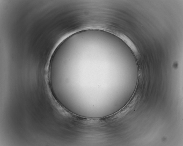 X0000102831052200808181044