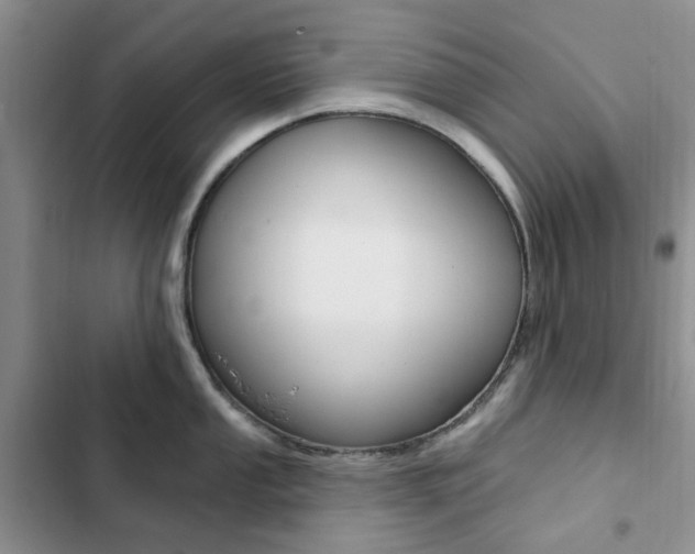 X0000102831053200808181044