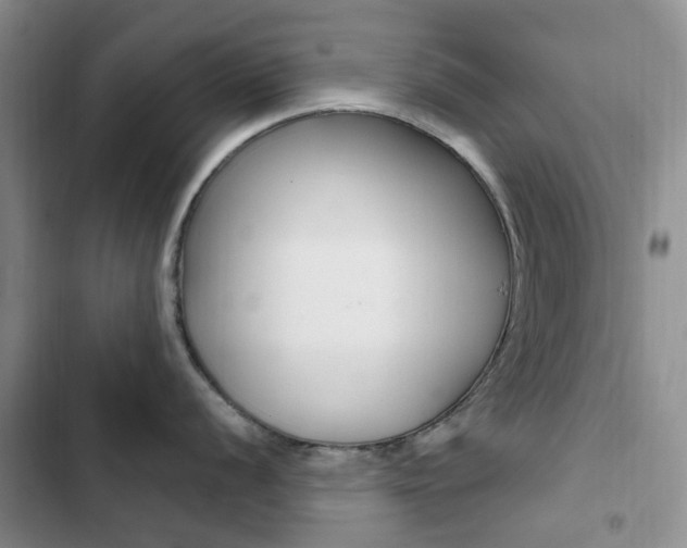 X0000102831056200808181044