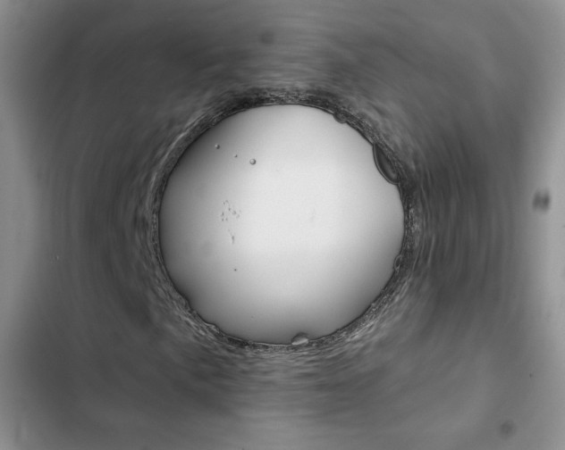 X0000102831057200808181044